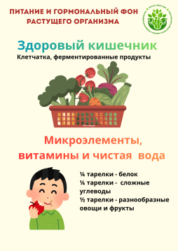 Здоровый кишечник